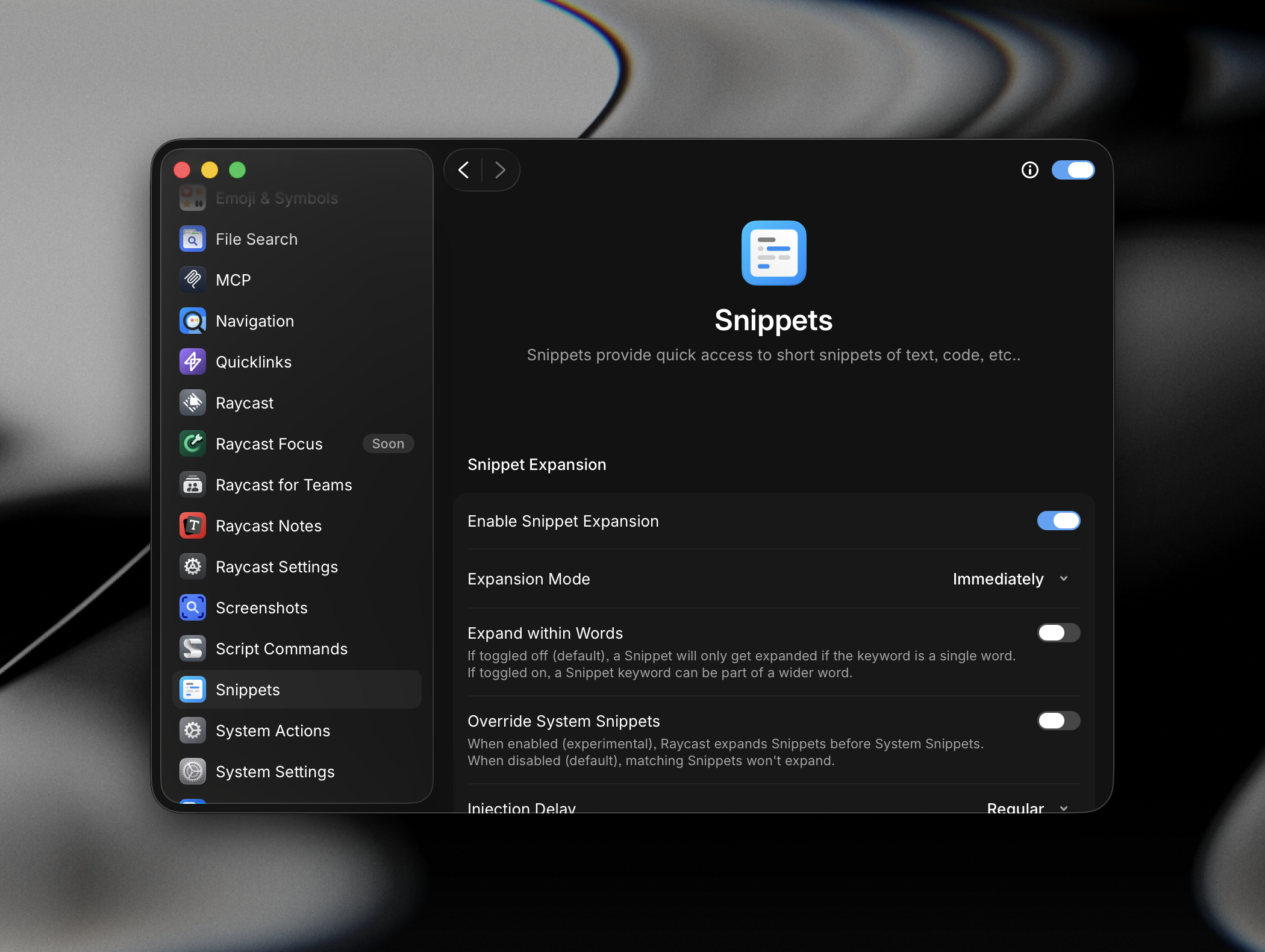 Snippet Expansion settings